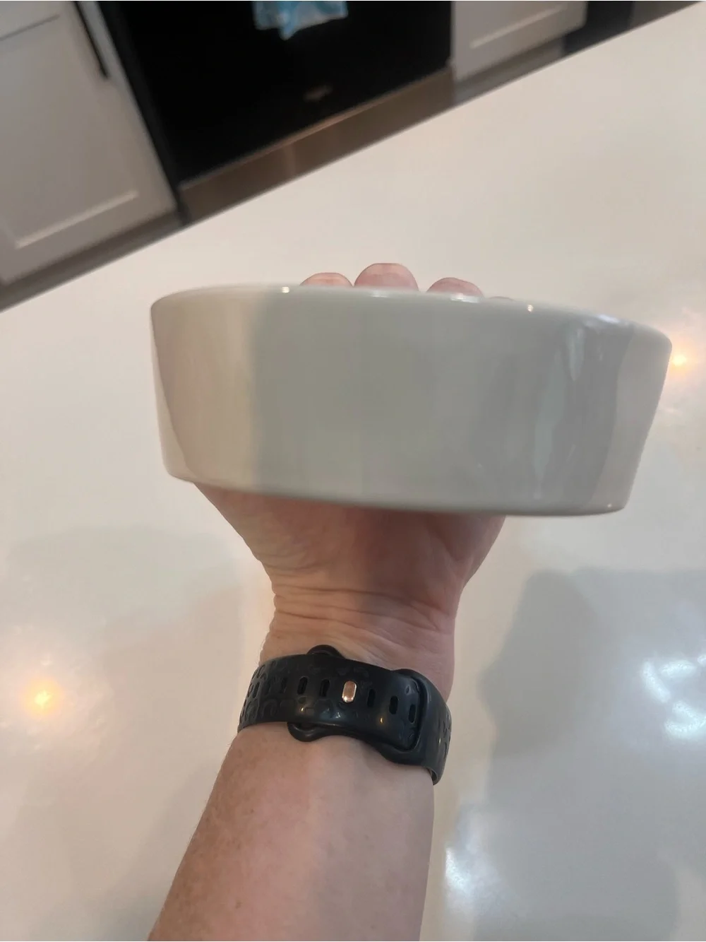 “Catitude” Rae Dunn White Ceramic Pet Bowl